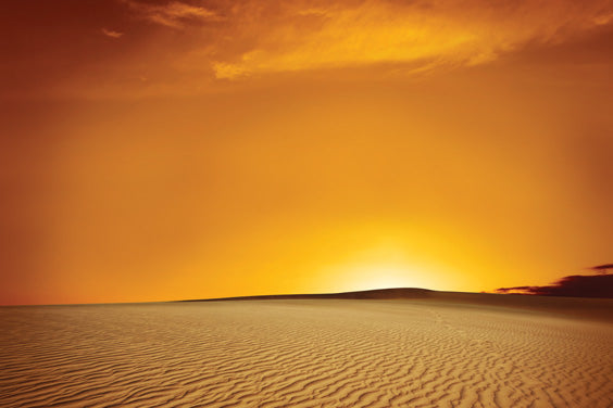 Beautiful Desert