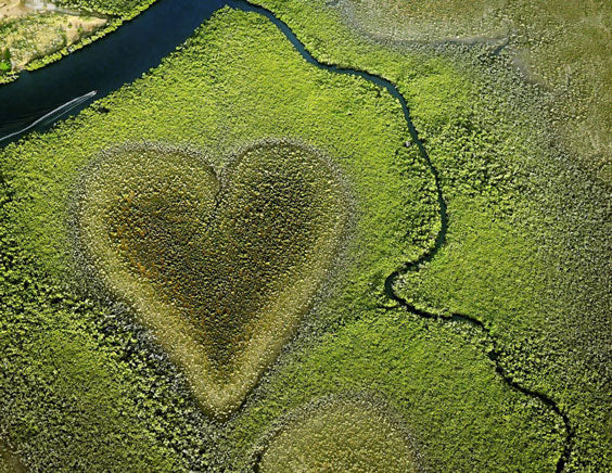 Celebrate Earth!