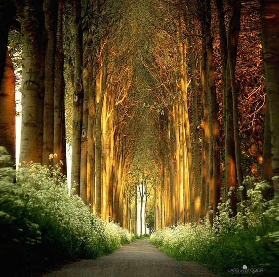 Contemplate – So Deep!