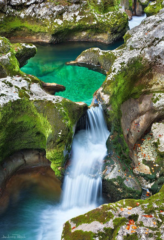 Contemplate – Emerald Pool