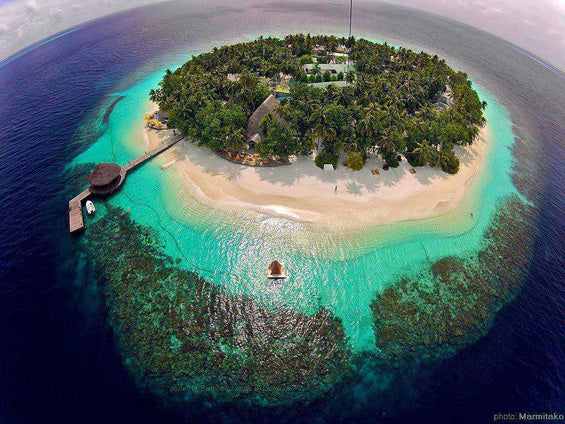 Contemplate – Paradise Island