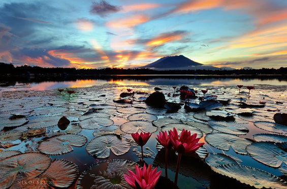 Contemplate – Sampaloc Lake