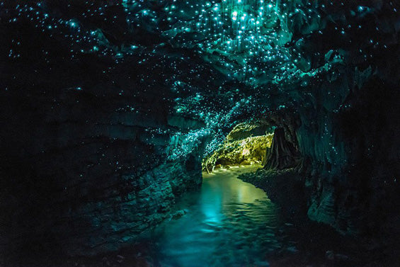 Contemplate – Waitomo Caves