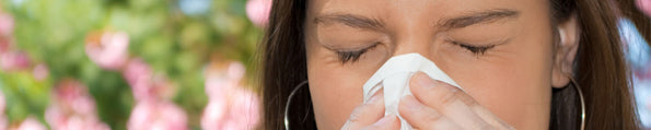 Essential Oils for Seasonal Allergy Relief