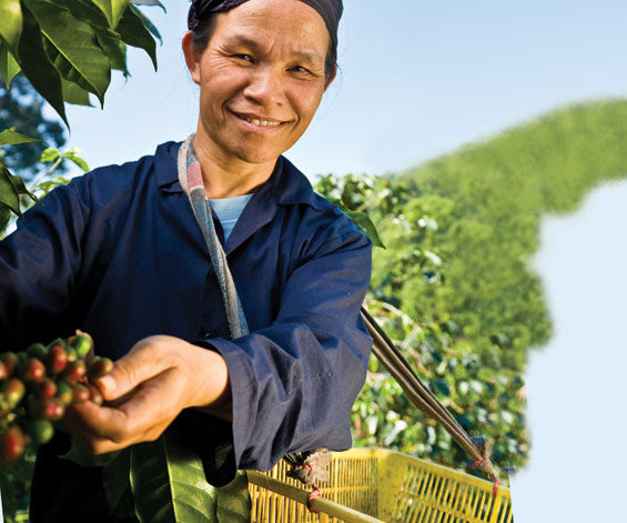 Fair Trade Purchases = Sustainable Purchases