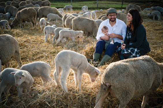 Aller à la racine de la saveur
