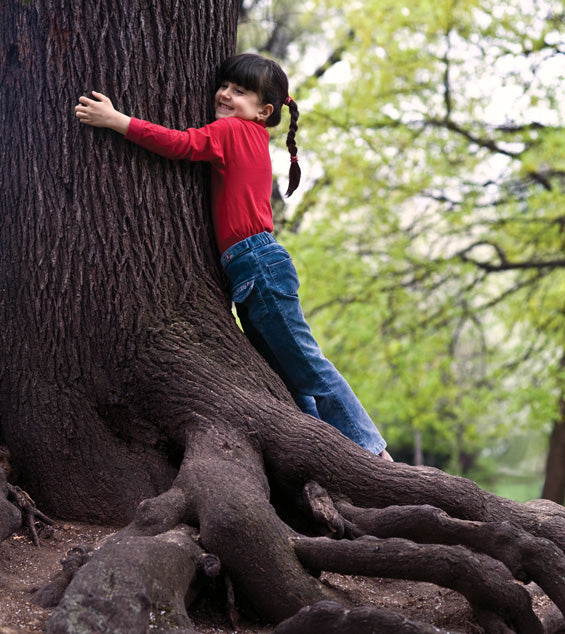 Homage to Trees