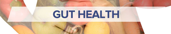 How the food you eat affects your gut – Shilpa Ravella