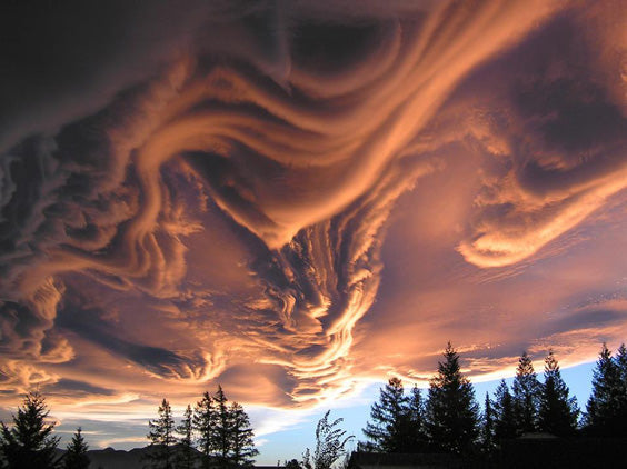 Let Go Your Imagination