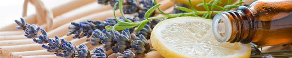More Than A Scent: Essential Oils Aid The Immune System
