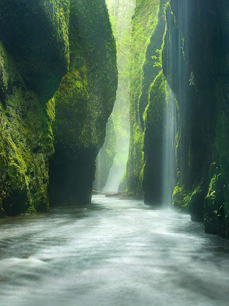 Oneonta Gorge