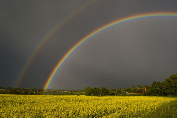 Over the Rainbow – Kamakawiwo Ole