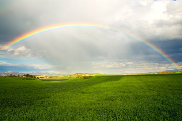 Contemplate Rainbow Meditation