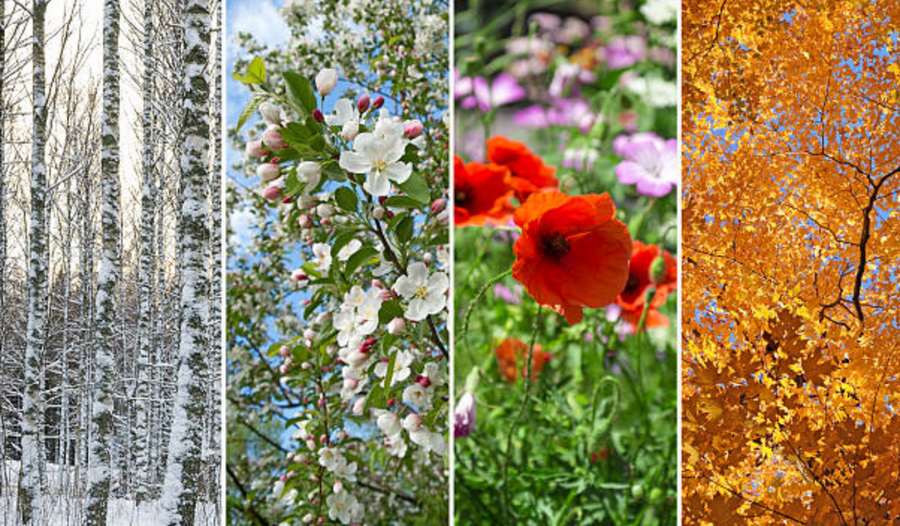 Are you ready to re-align with the changing seasons?