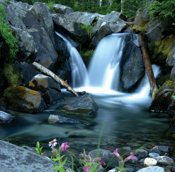 The Bathroom – A Place for Purification