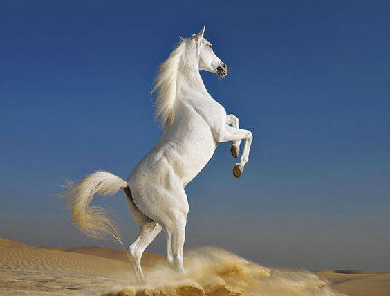 The potential for greatness lives within us