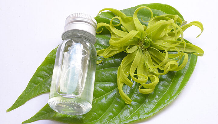 Les 27 huiles essentielles indispensables à diffuser