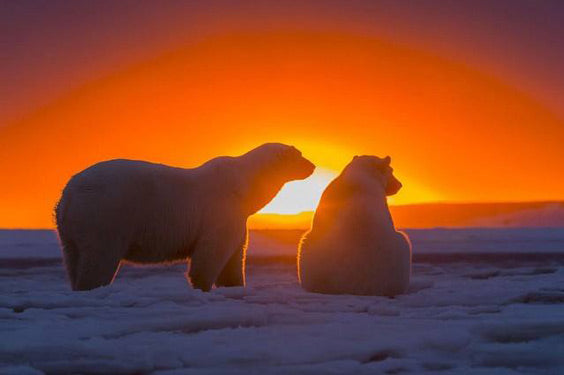 Regarder le coucher de soleil ensemble