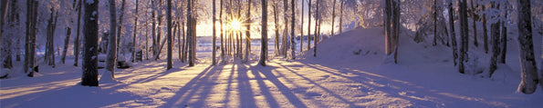 What Is The Shortest Day Of 2016? It Has Everything To Do With The Winter Solstice