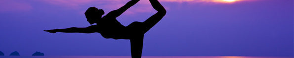 Yoga and the Brain: A Vision of Possibilities