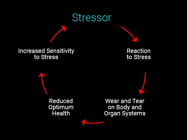 How to De-stress  You Must Complete the Stress Cycle